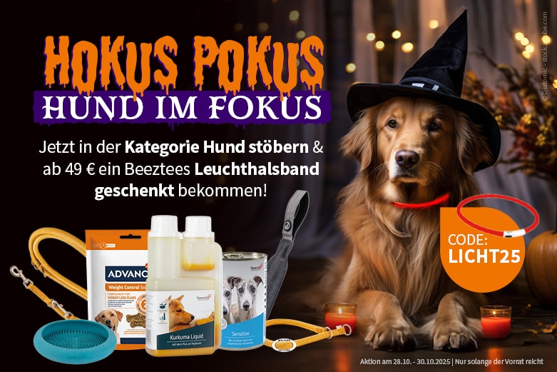 Pre-Halloween gratis Leuchthalsband ab 49 € MBW zur Kategorie Hund